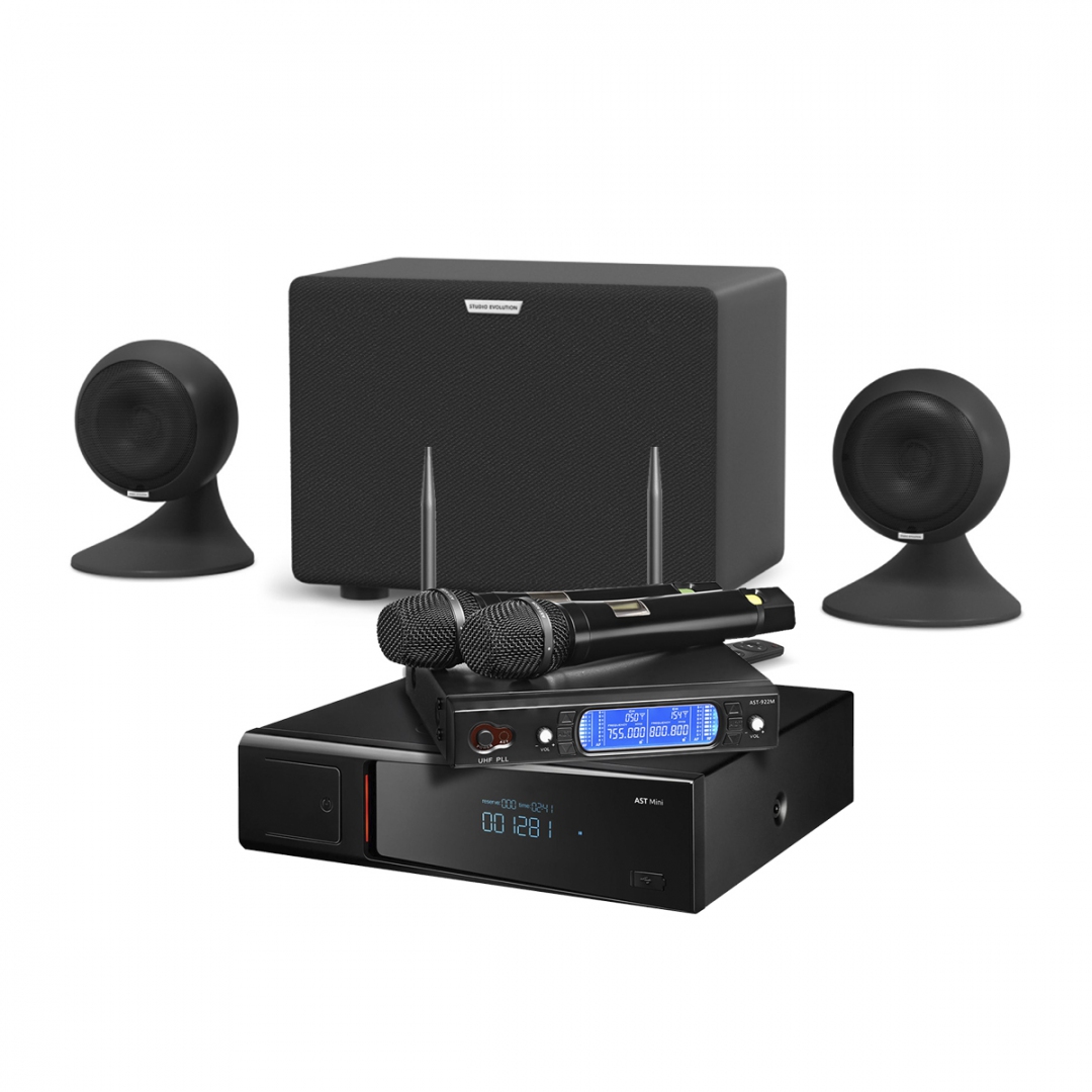 караоке-комплект AST Mini Sound Sphere в Краснознаменске