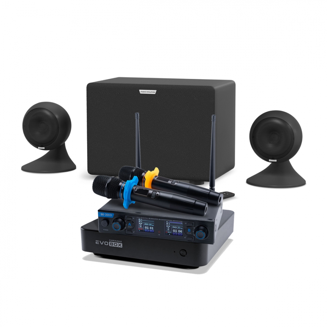 караоке-комплект EVOBOX + EvoSound Sphere 2.1 в Краснознаменске