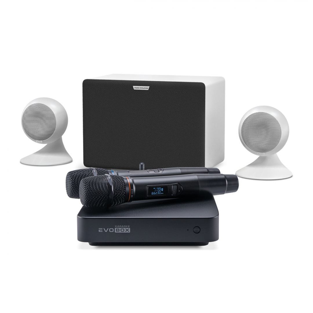 караоке-комплект EVOBOX Classic + EvoSound Sphere 2.1 в Краснознаменске