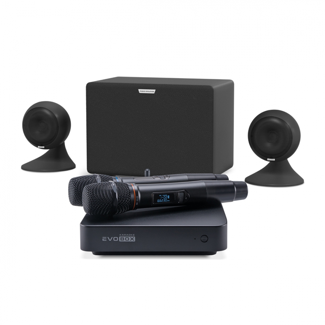 караоке-комплект EVOBOX Plus + EvoSound Sphere 2.1 в Краснознаменске