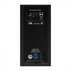 Активная акустическая система AST-310A в Краснознаменске