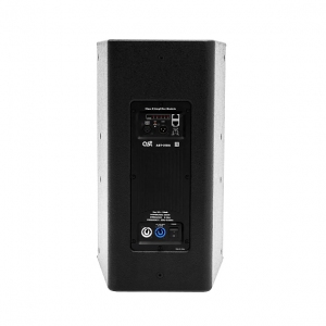 Активная акустическая система AST-310A в Краснознаменске