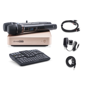 EVOBOX Classic караоке-система для дома в Краснознаменске