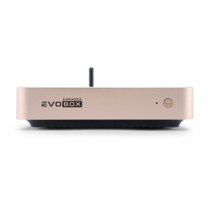 EVOBOX Plus караоке-система для дома в Краснознаменске