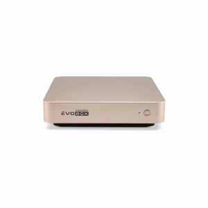 EVOBOX с микрофонами в Краснознаменске